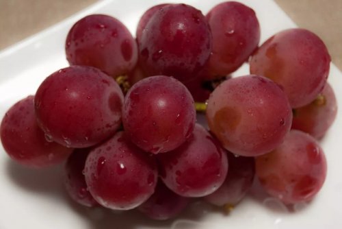Самый дорогой виноград в мире (5 фото)