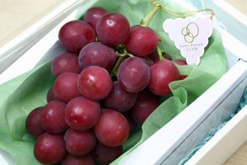 Самый дорогой виноград в мире (5 фото)